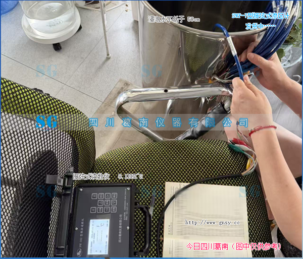 SWP型振弦式渗压计（0~700kpa）[20260723] 产品发货