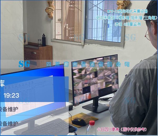 水电站自动化采集渗流量设备运行维护 [20260724] 售后服务