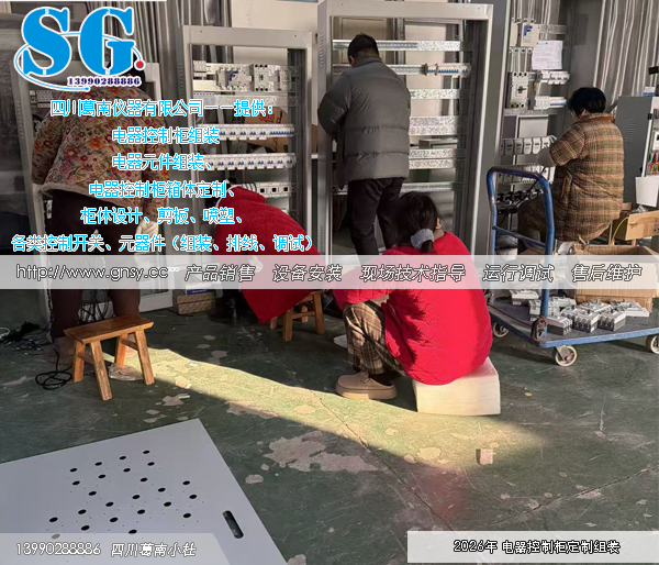 水库运行管理电器设备柜组装实例-SG