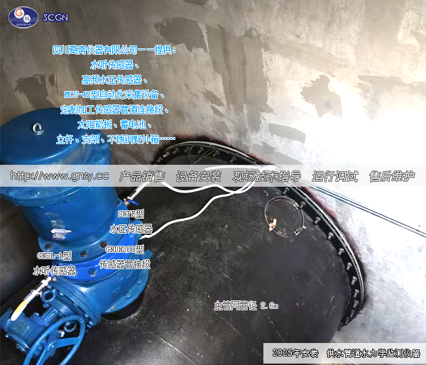 某水库灌区供水管道水力学（水听、水压、自动化采集）传感器安装--GN20251210-01