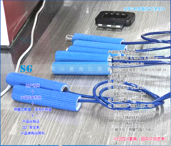 SWP型振弦式渗压计发货[20260809]产品销售