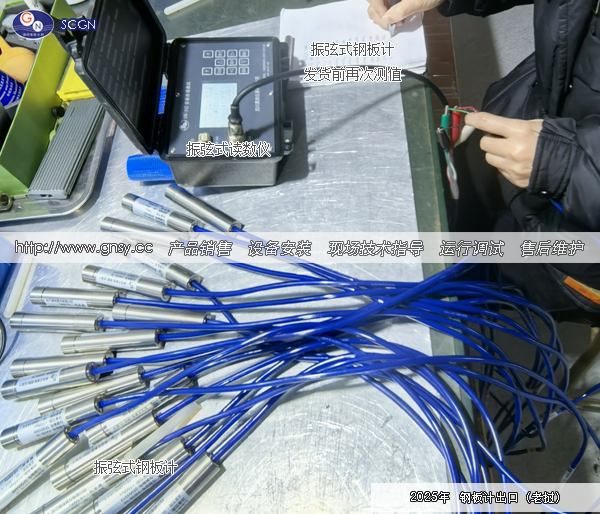 振弦式钢板计出口（老挝）某水电站