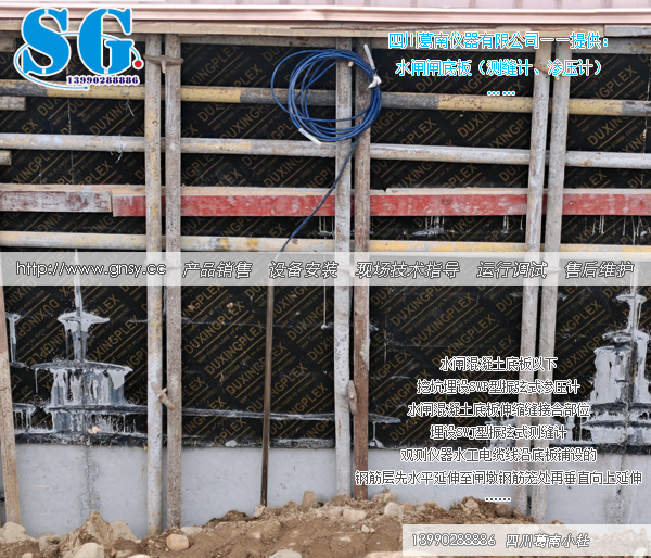 水闸闸底板测缝计、渗压计安装位置实例-SG